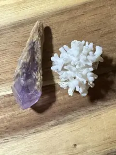 アメジストポイントとサンゴのセット