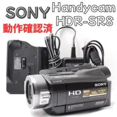 2025年最新】hdr-sr8の人気アイテム - メルカリ