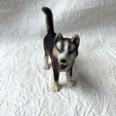 シュライヒ Schleich 動物フィギュア　シベリアン・ハスキー(オス)のサムネイル