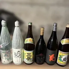 伊佐美2本 三岳2本 屋久の石楠花2本 - メルカリ