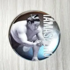 大相撲 相撲