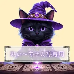 みぃ〜ちゃん様専用