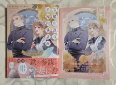 冷酷参謀の夫婦円満計画※なお、遂行まで十年1