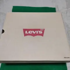 未使用　理由あり品