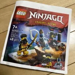 【正規品】LEGO NINJAGO ミニキット
