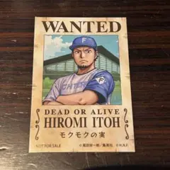 日本ハムファイターズ　ワンピース　手配書ステッカー　伊藤大海