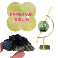 KAMEOTA様 リクエスト 8点 まとめ商品