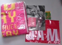 2026年最新】judy and mary タオルの人気アイテム - メルカリ