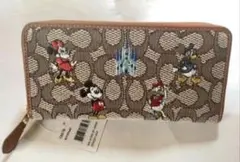 COACH コーチ 極美品 リンゴ りんご アップル ラウンドファスナー長財布 コーチ 財布 ラウンドファスナー アップルプリント りんご柄