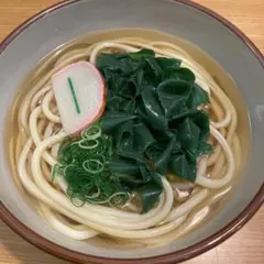 食品サンプル 実物大 わかめうどん　大盛り