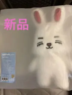 新品　miniteen チェチェリー