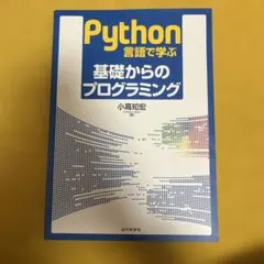 python IT