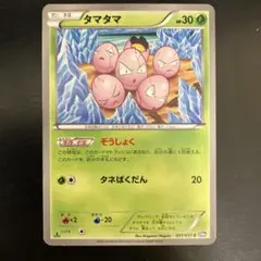 2025年最新】タマタマ ぞうしょくの人気アイテム - メルカリ