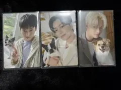 ENHYPEN アンケートトレカ ジェイ ソヌ ニキ 2025