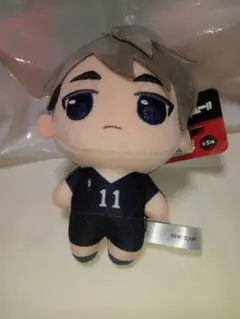 ハイキュー　ぷちっしゅ　宮治