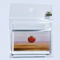 ドラゴンボール　アクリルカードダス　オブジェ　未開封　3点セット アクリルカードダスオブジェ ドラゴンボール | ドラゴンボール