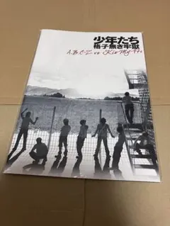 少年たち 格子無き牢獄 パンフレット A.B.C-Z Kis-My-Ft2