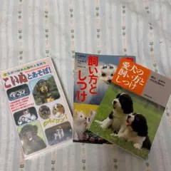 Item thumbnail for item d8afb955-5edd-4f16-a864-d3d3008e1bea