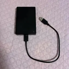極美品・大容量1TB】レノボ ポータブルSSD550MB/s - メルカリ