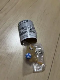 ねこあつめ2 めじるしアクセサリー