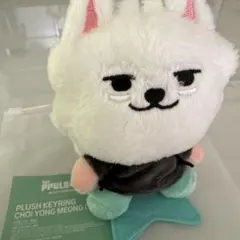 ゆずっこ様 リクエスト 2点 まとめ商品