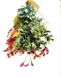 ✴️ミモザ＆ユーカリ☆ドライフラワー ミニスワッグ 秋色紫陽花　約26cm