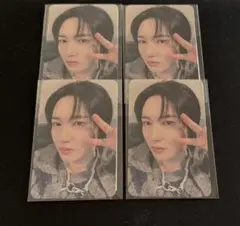 DREAMSCAPE ロンジュン トレカ mumo特典