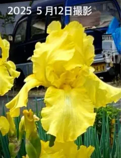 まるまるこ様 リクエスト 2点 まとめ商品