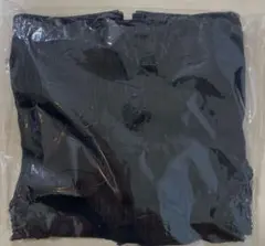 Item thumbnail for item 8888ddf6-23e4-4618-8f06-3e08f1fcb898