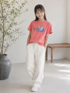 ノースフェイス キッズ 半袖Tシャツ 150cmのサムネイル