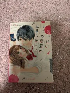 Item thumbnail for item 9d09bf09-6fd0-48bc-aa62-409170d0ff4e