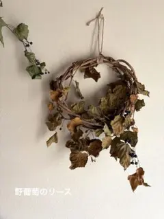 野葡萄のドライフラワー　シンプルリース