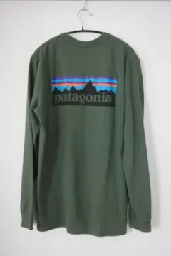 【Patagonia】ロンT