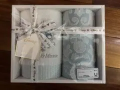 ディズニー　ゲストタオル