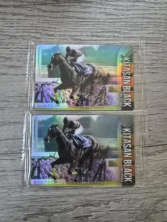 サラブレッドホースコレクション キタサンブラック　サイン&ノーマル 2枚セット