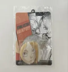 『ハイキュー!!』缶バッジ＆特製ホルダーコレクション　孤爪研磨