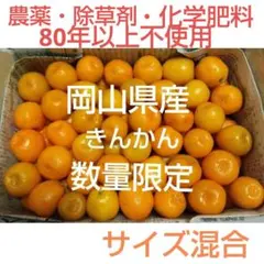 岡山県産 栽培期間中 農薬 ・化学肥料・除草剤不使用 大実金柑サイズ混合