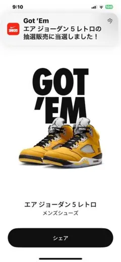 Nike Air Jordan 5 Retro 