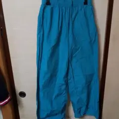 Dickiesパンツ！19