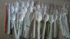 Item thumbnail for item 6a97b0b4-999f-4c6f-b866-d9c5d512827f