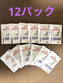 新品✨ROYAL CANIN エイジングケア 12袋犬用食事療法食ウェットフードのサムネイル