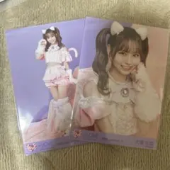 LOVE イコラブ 大場花菜 生写真 猫衣装 セミコンプ - メルカリ