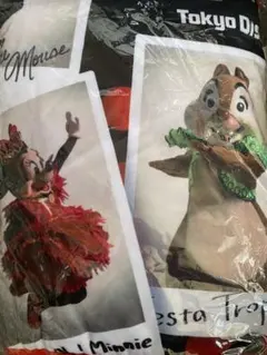 ディズニー　ベリーベリーミニー　ブランケット