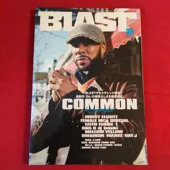 BLAST 08 - COMMON特集号 2005