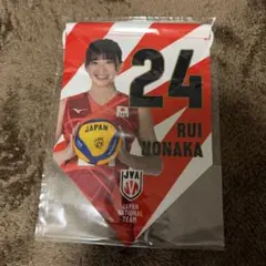 野中瑠衣 スポーツ選手