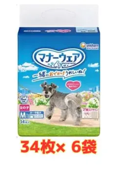 Item thumbnail for item 0dbefe71-6d17-4781-97d3-dcfdac21ee32