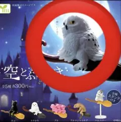 Item thumbnail for item 083b88a8-5140-4d57-8868-45bc677081a4