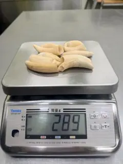 2026年最新】マッコウクジラの歯の人気アイテム - メルカリ