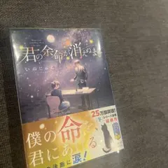 君の余命が消えぬまに