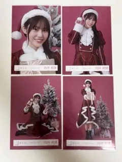 櫻坂46 向井純葉 生写真4種コンプ 2025年 サンタ衣装